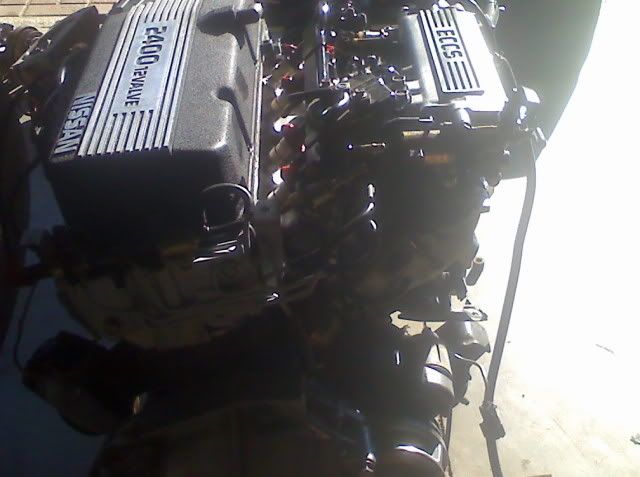 http://i754.photobucket.com/albums/xx181/billymelenhorst/0630101847a.jpg