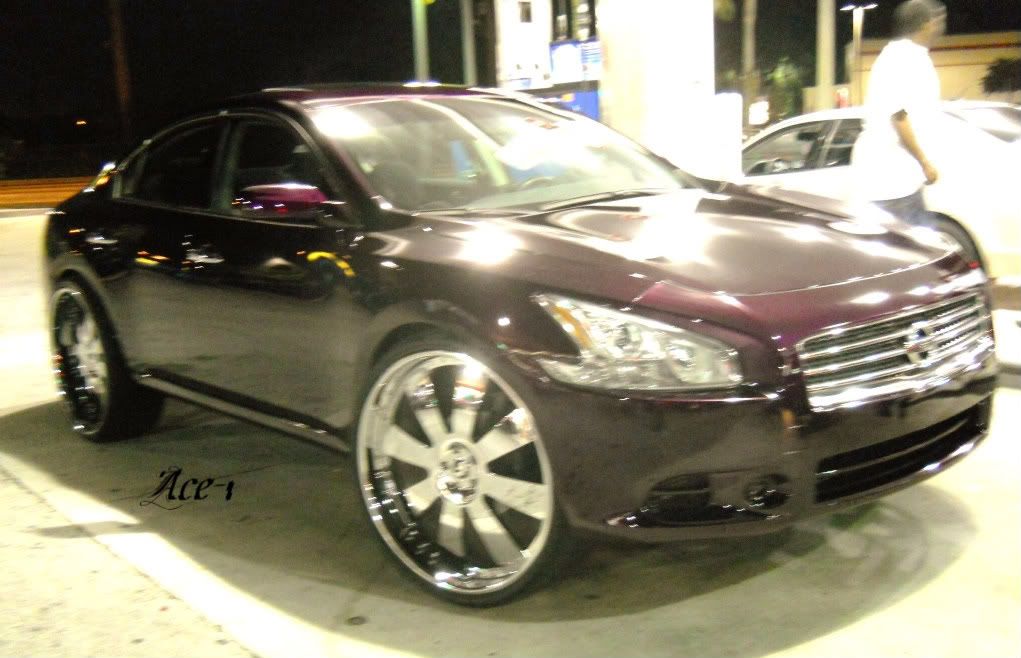 2010 Purple nissan maxima #9