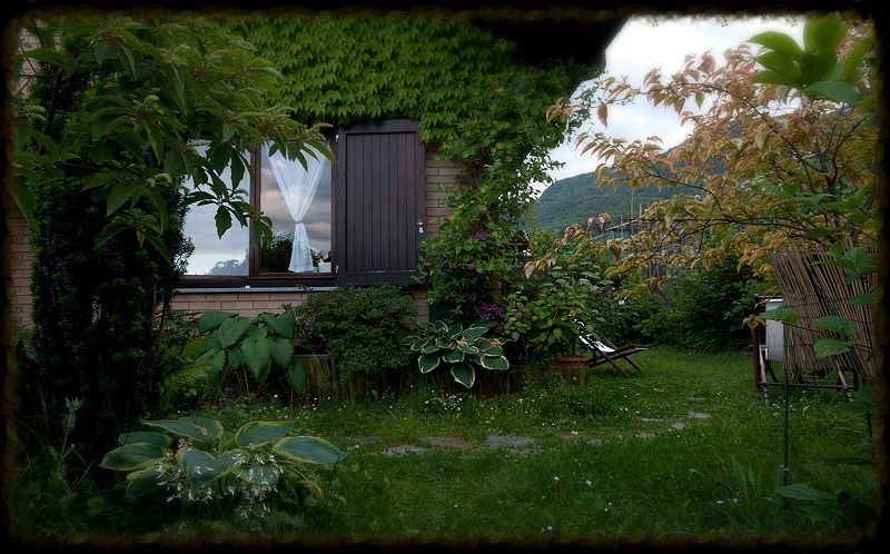 Bild