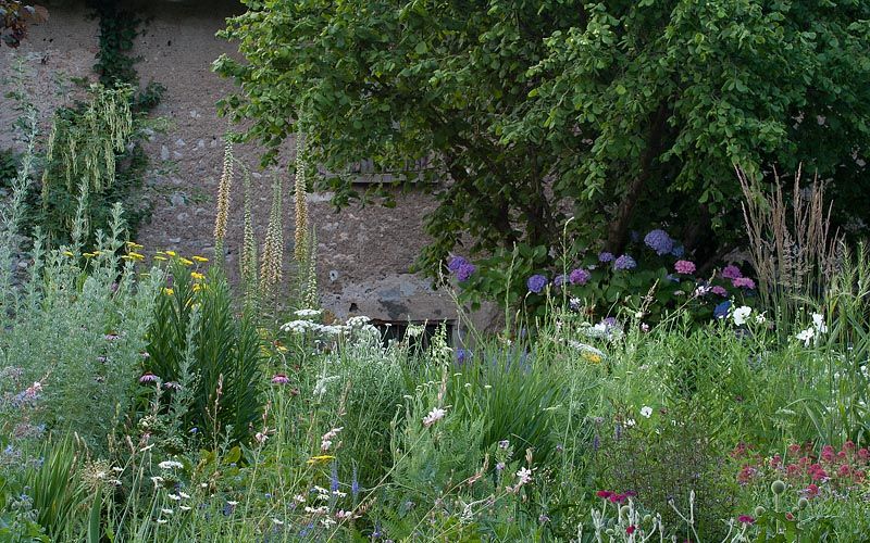 Bild