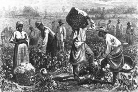 slaves-in-cotton-field-1-1.jpg