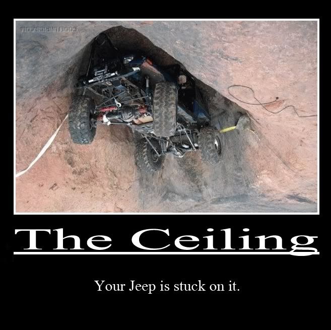 Upside down lets see your bellies