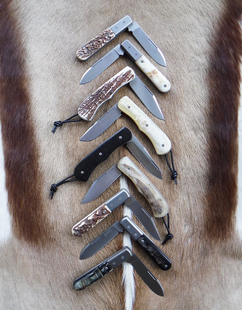 lionSTEEL%20family.jpg