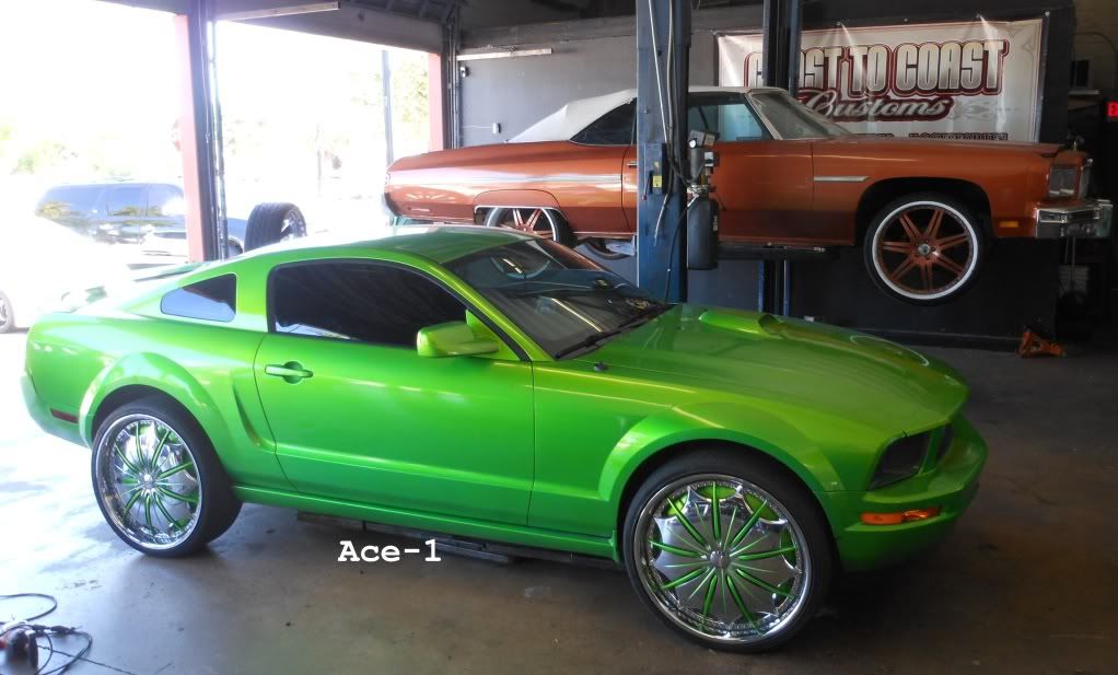 Ace-1: C2C Customs- Female's Ford Mustang on 24